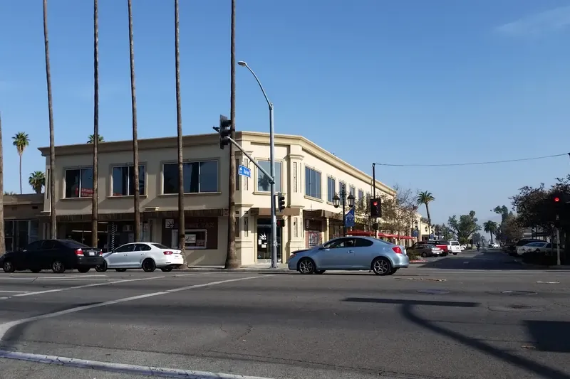 Single-story homes with palm trees and the San Jacinto Mountains behind in Hemet