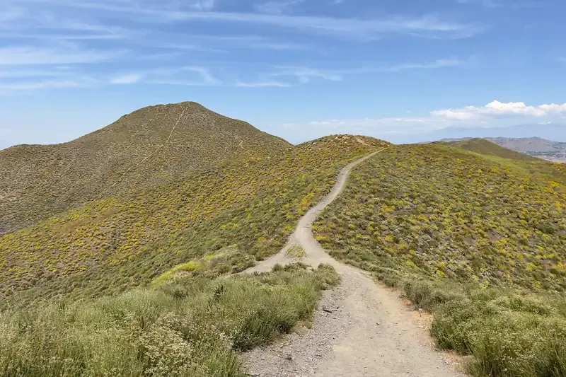 Single-story homes with desert landscaping and rocky hills behind in Menifee